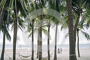 Aerial view of hanging hammocks in background of familly standing in beach