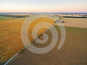 Aerial view of harvested agricultural field and pastures at suns
