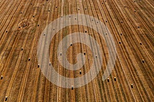 Aerial view of a harvested field with straw rolls