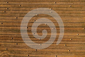 Aerial view of a harvested field with straw rolls