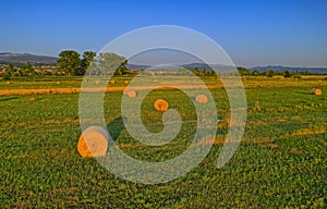 Aerial view of the hay bales in the countryside, Croatia