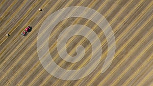 Aerial view of haymaking processed into round bales. Red tractor works in the field