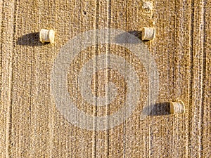 Aerial view on Haystacks on a wheat field during harvest