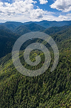 Aerial View of Healthy Forest in Southern Oregon