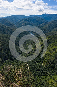 Aerial View of Healthy Forest in Southern Oregon Mountains
