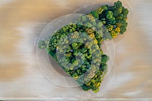 Aerial view of heart shape copse in the middle of field