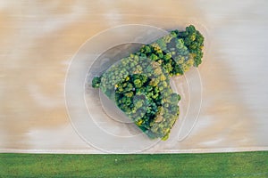 Aerial view of heart shape copse in the middle of field