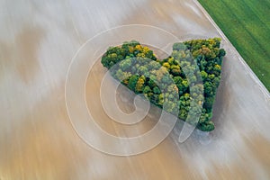 Aerial view of heart shape copse in the middle of field