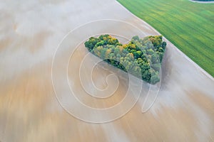 Aerial view of heart shape copse in the middle of field