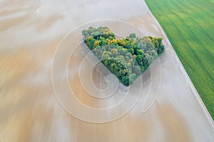 Aerial view of heart shape copse in the middle of field