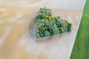 Aerial view of heart shape copse in the middle of field