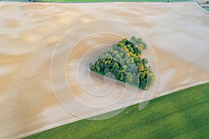 Aerial view of heart shape copse in the middle of field