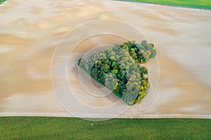 Aerial view of heart shape copse in the middle of field