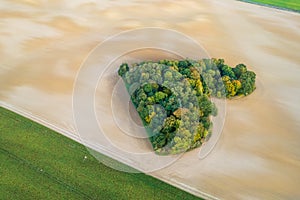 Aerial view of heart shape copse in the middle of field