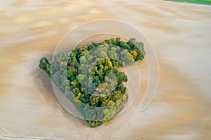 Aerial view of heart shape copse in the middle of field