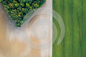 Aerial view of heart shape copse in the middle of field