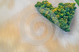 Aerial view of heart shape copse in the middle of field