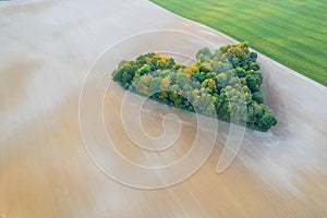 Aerial view of heart shape copse in the middle of field