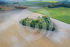 Aerial view of heart shape copse in the middle of field