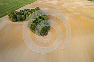 Aerial view of heart shape copse in the middle of field