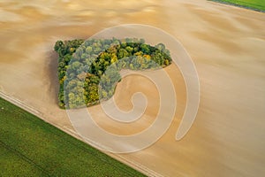 Aerial view of heart shape copse in the middle of field