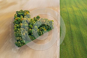 Aerial view of heart shape copse in the middle of field