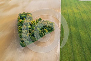 Aerial view of heart shape copse in the middle of field