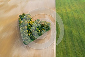 Aerial view of heart shape copse in the middle of field