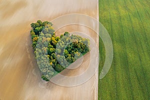 Aerial view of heart shape copse in the middle of field