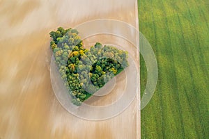 Aerial view of heart shape copse in the middle of field