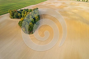 Aerial view of heart shape copse in the middle of field