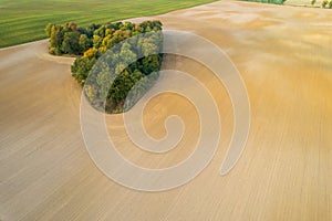 Aerial view of heart shape copse in the middle of field