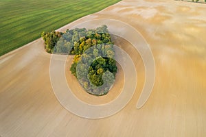 Aerial view of heart shape copse in the middle of field