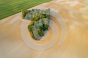 Aerial view of heart shape copse in the middle of field