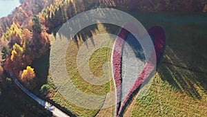 aerial view of heart-shaped field on a hill surrounded by trees, Bieszczady Poland
