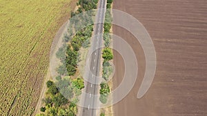 Aerial view. Highway among farm fields.