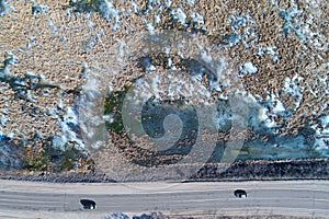 Aerial view of a highway passing through swampland