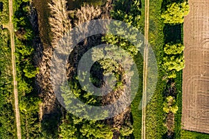 Aerial view of a hiking trail on the dike with a natural habitat