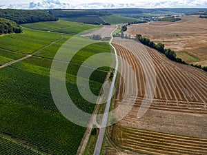 Aerial view on hills with vineyards near Urville, green champagne vineyards in Cote des Bar, Aube, south of Champange, France