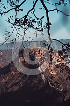 Aerial view of hilltop Civita di Bagnoregio village in Italy with tree branch in foreground