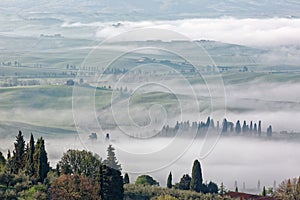 Aerial view of hilltop farmhouses & cypress trees in Tuscany on a foggy spring morning ~