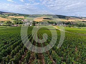 Aerial view on hilly vineyards and village Urville, champagne vineyards in Cote des Bar, Aube, south of Champange, France