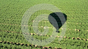 Aerial View of Hot Air Balloon