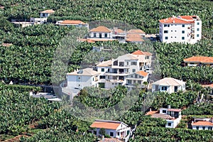Aerial view at houses and banana plantations at Madeira Island, Portugal