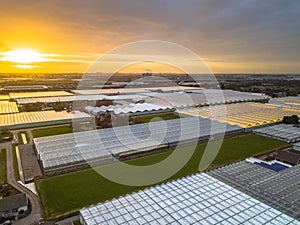 Aerial view of huge Greenhouse horticulture area