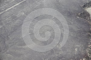 Aerial View of the Hummingbird Nazca Lines