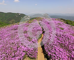 Aerial View of Hwangmaesan Mountain, Hapcheon, Gyeongnam, South Korea, Asia