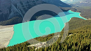 Aerial view of the incredible Peyto Lake