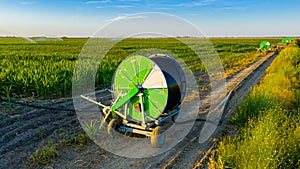 Aerial view on irrigation reel, agricultural water sprinkler, sprayer, sending out jets of water to irrigate corn farm crops