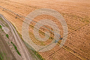 Aerial view of irrigation sprinkler in wheat field